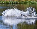 20160925-jhw-0947