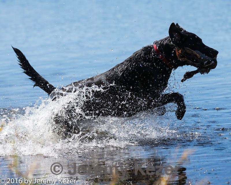 20160925-jhw-0092.jpg