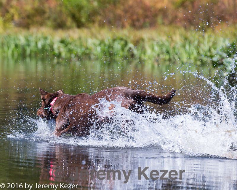 20160925-jhw-0109.jpg