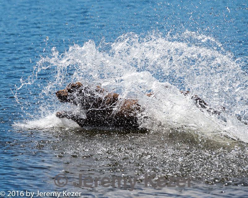 20160925-jhw-0342.jpg