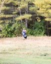 20161008-c-0009