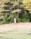 20161008-c-0011