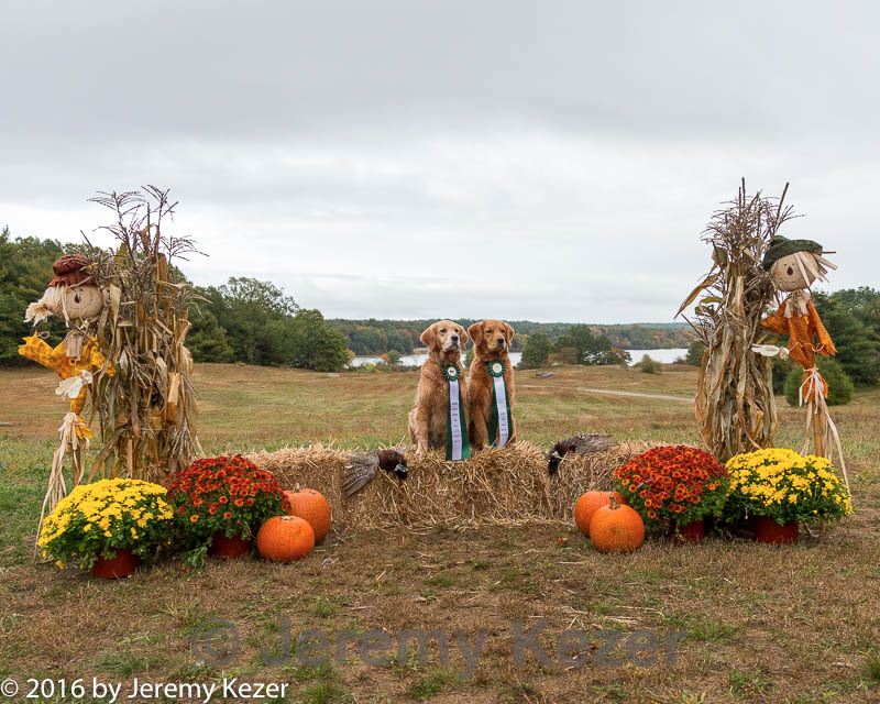20161008-p-0034.jpg