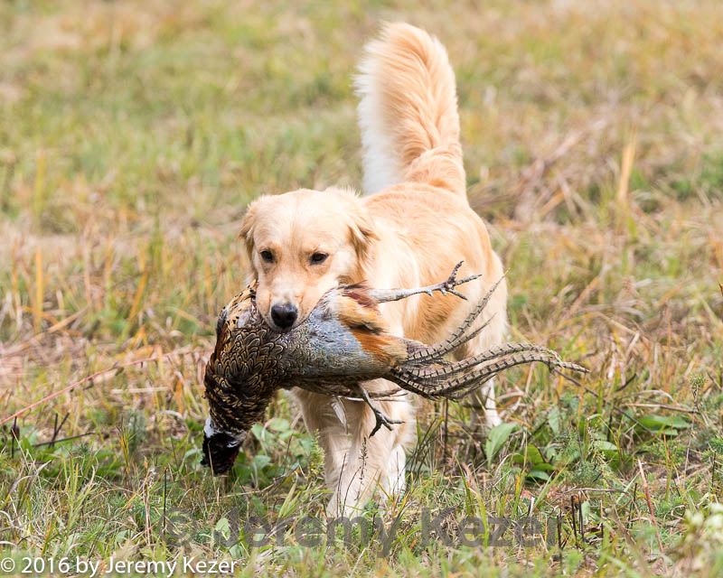 20161008-wcl-0133.jpg