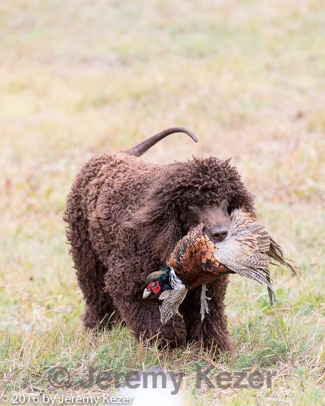 20161008-wcl-0154.jpg
