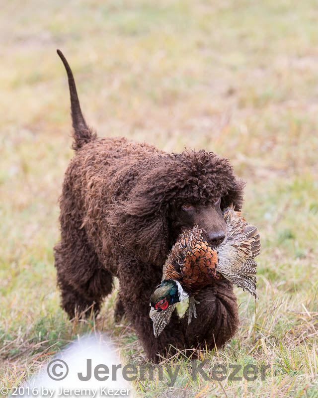 20161008-wcl-0155.jpg