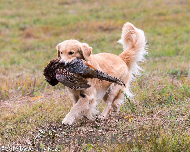 20161008-wcl-0199.jpg