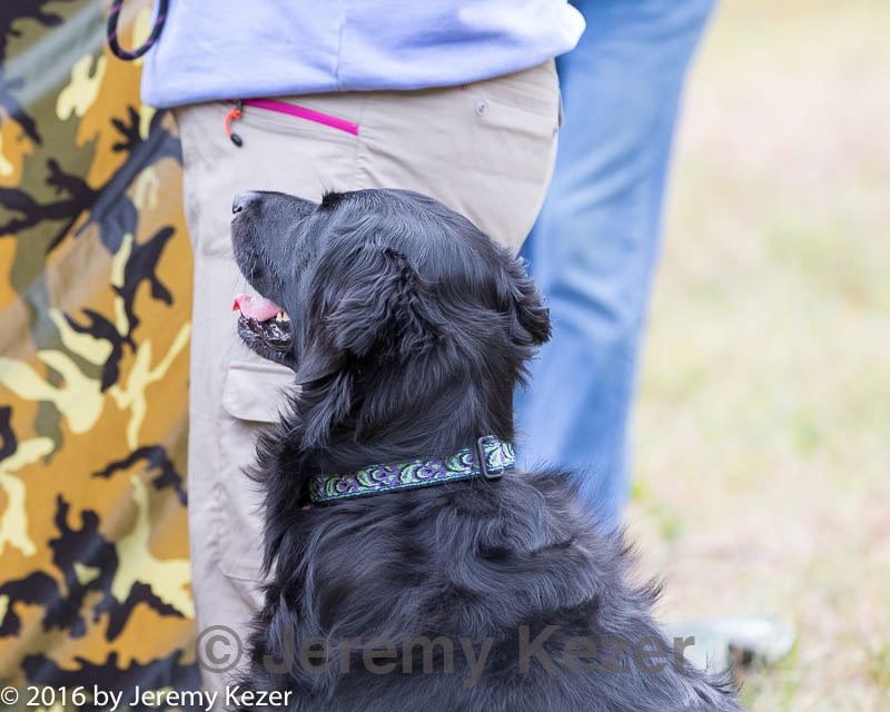 20161008-wcl-0224.jpg
