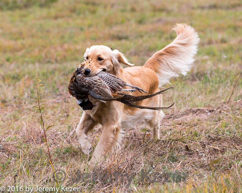 20161008-wcl-0296.jpg