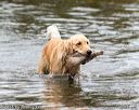 20161008-wcw-0354