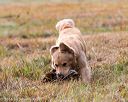 20161008-wcxl-0070