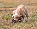 20161008-wcxl-0072