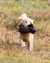 20161008-wcxl-0087
