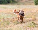 20161008-wcxl-0147