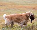 20161008-wcxl-0173