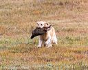 20161008-wcxl-0184