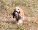 20161008-wcxl-0678