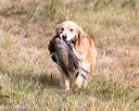20161008-wcxl-0679