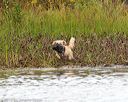 20161008-wcxw-0010