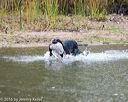 20161008-wcxw-0158