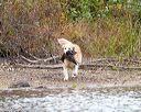 20161008-wcxw-0229