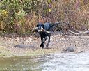 20161008-wcxw-0296