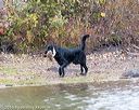 20161008-wcxw-0346