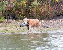 20161008-wcxw-0395