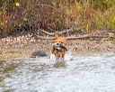 20161008-wcxw-0431
