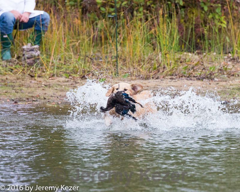 20161008-wcxw-0046.jpg