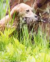 20170603-seaw-0014