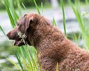 20170603-seaw-0033