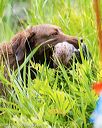 20170603-seaw-0039