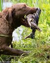 20170603-seaw-0055