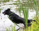 20170603-seaw-0070