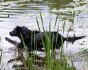 20170603-seaw-0073