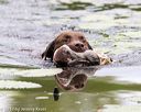20170603-seaw-0123