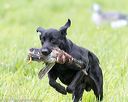 20170603-shrl-0013