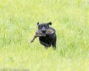 20170603-shrl-0017