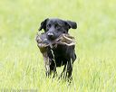 20170603-shrl-0023