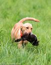20170603-shrl-0081