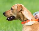 20170603-shrl-0086