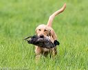 20170603-shrl-0094