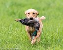 20170603-shrl-0096