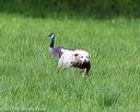 20170603-shrl-0103