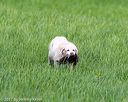 20170603-shrl-0108