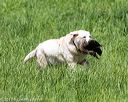 20170603-shrl-0123