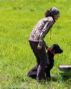 20170603-shrl-0136