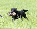 20170603-shrl-0138