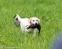 20170603-shrl-0242